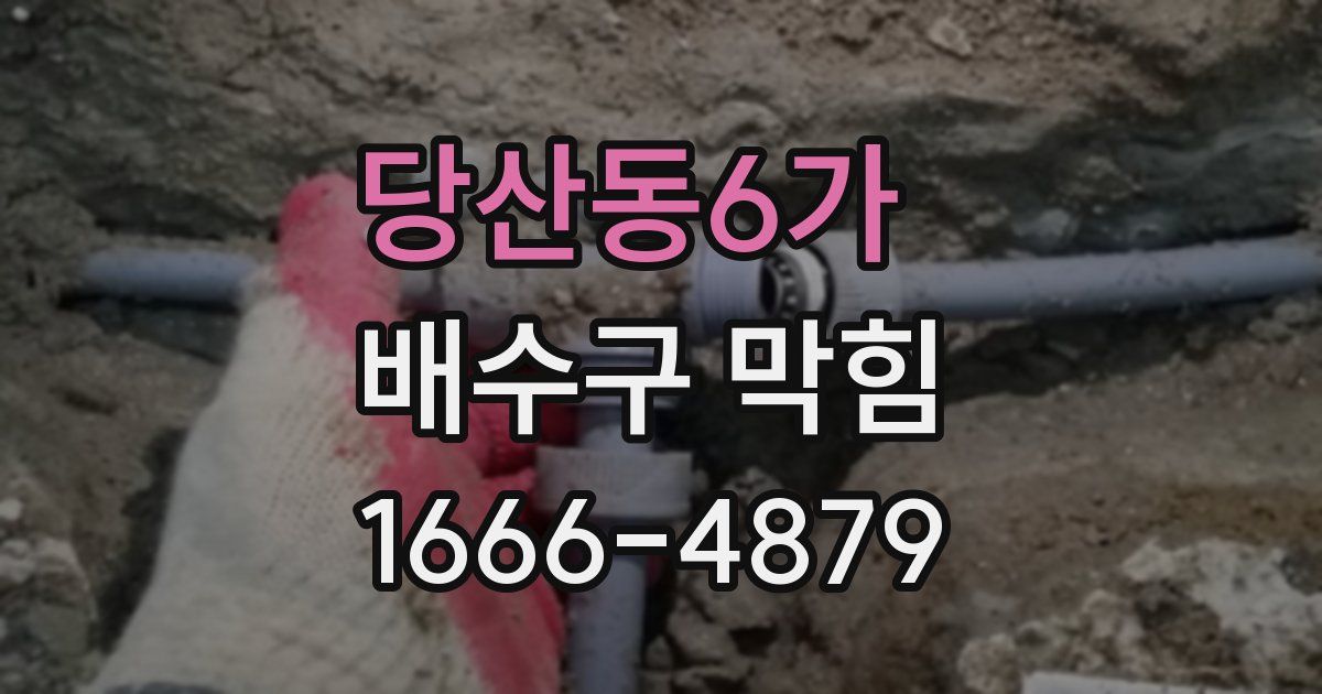당산동6가 배수구 막힘