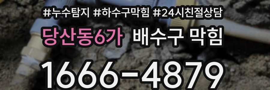 당산동6가 배수구 막힘