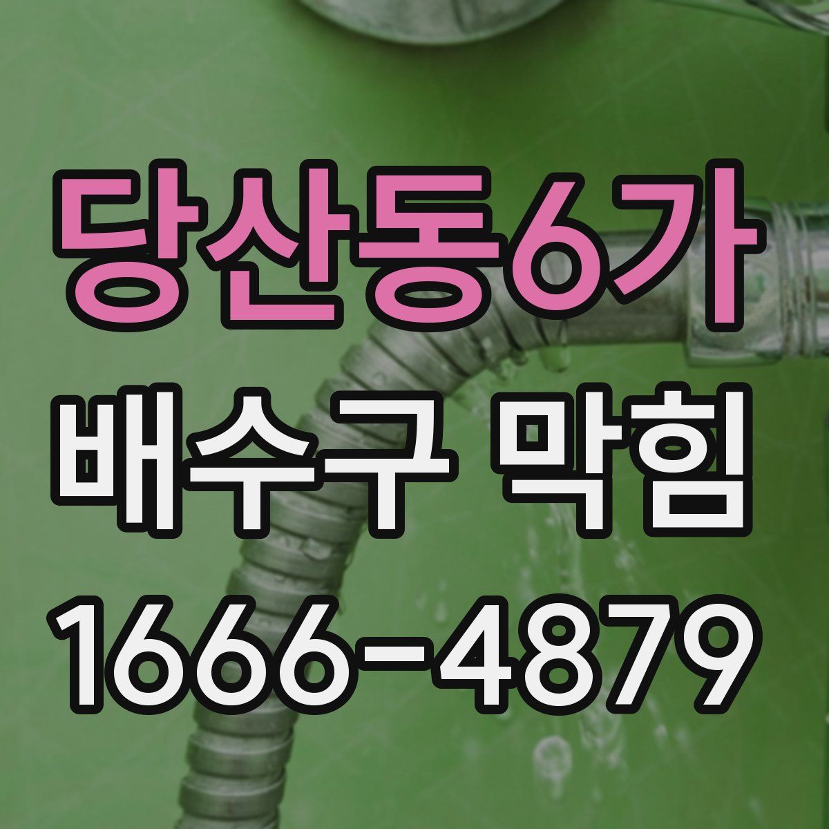 당산동6가 배수구 막힘