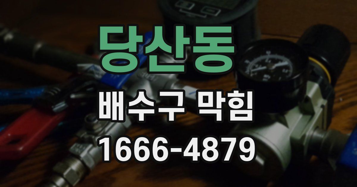 당산동 배수구 막힘