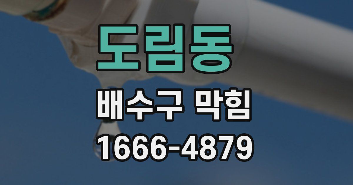 도림동 배수구 막힘