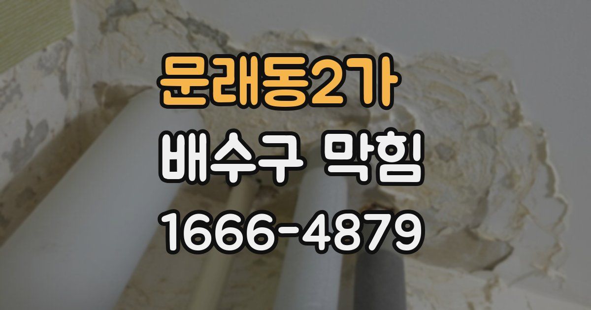 문래동2가 배수구 막힘