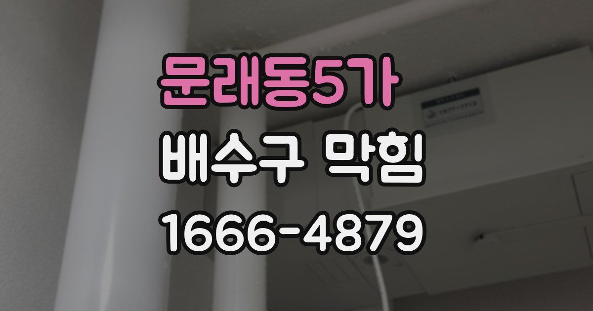 문래동5가 배수구 막힘