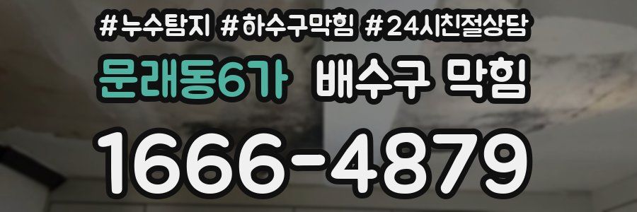 문래동6가 배수구 막힘