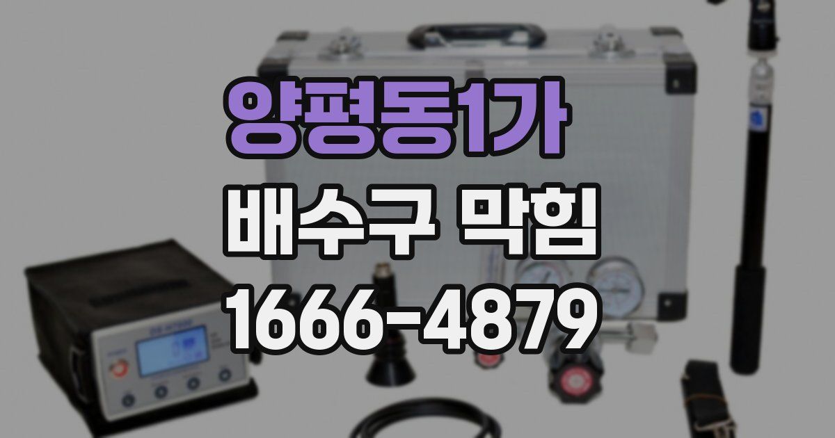 양평동1가 배수구 막힘