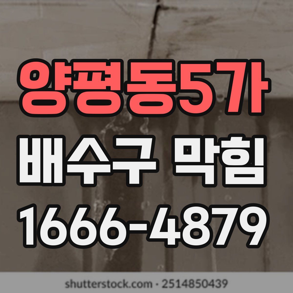 양평동5가 배수구 막힘