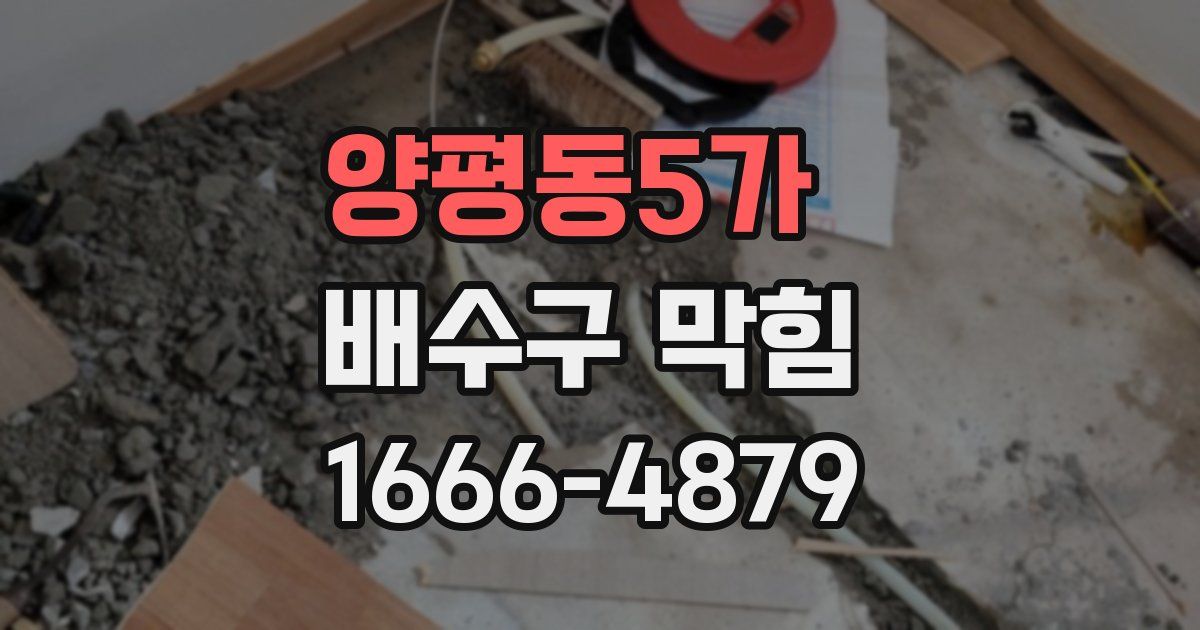 양평동5가 배수구 막힘