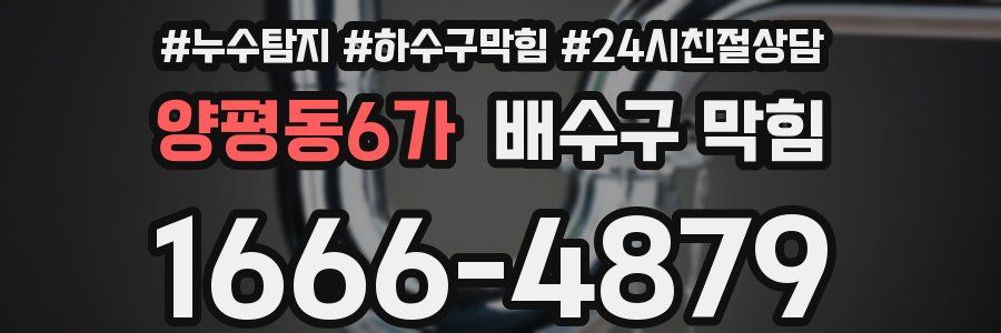 양평동6가 배수구 막힘