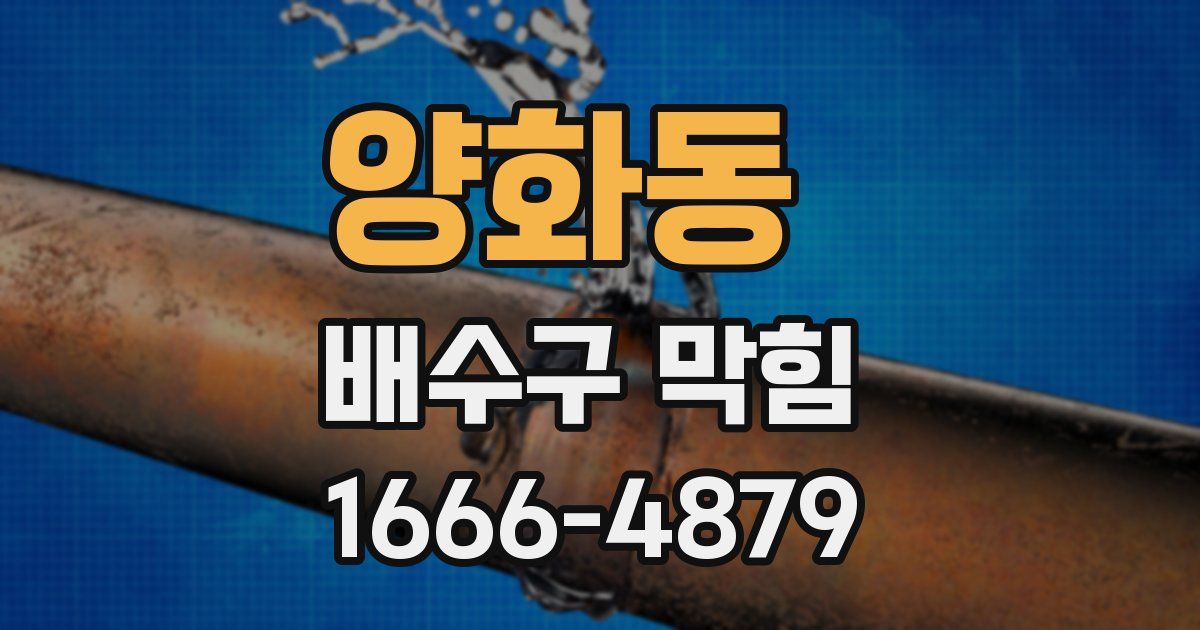 양화동 배수구 막힘
