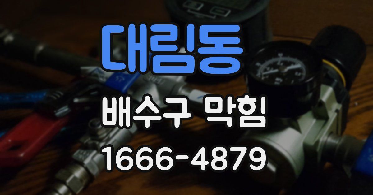 대림동 배수구 막힘