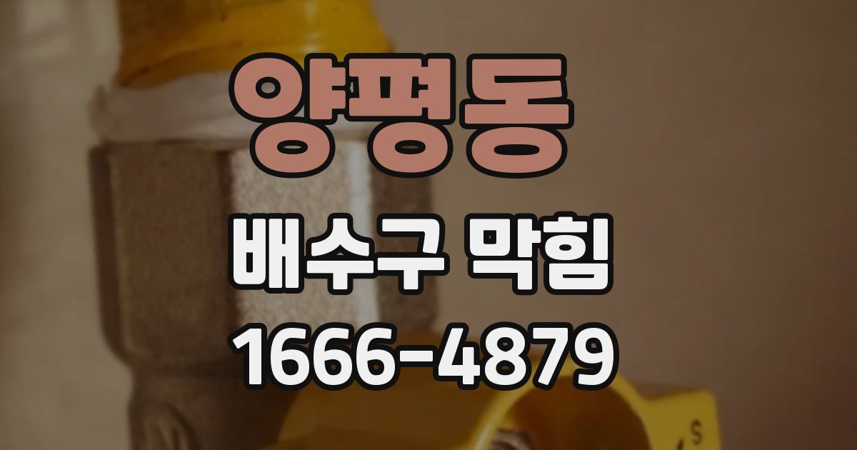 양평동 배수구 막힘
