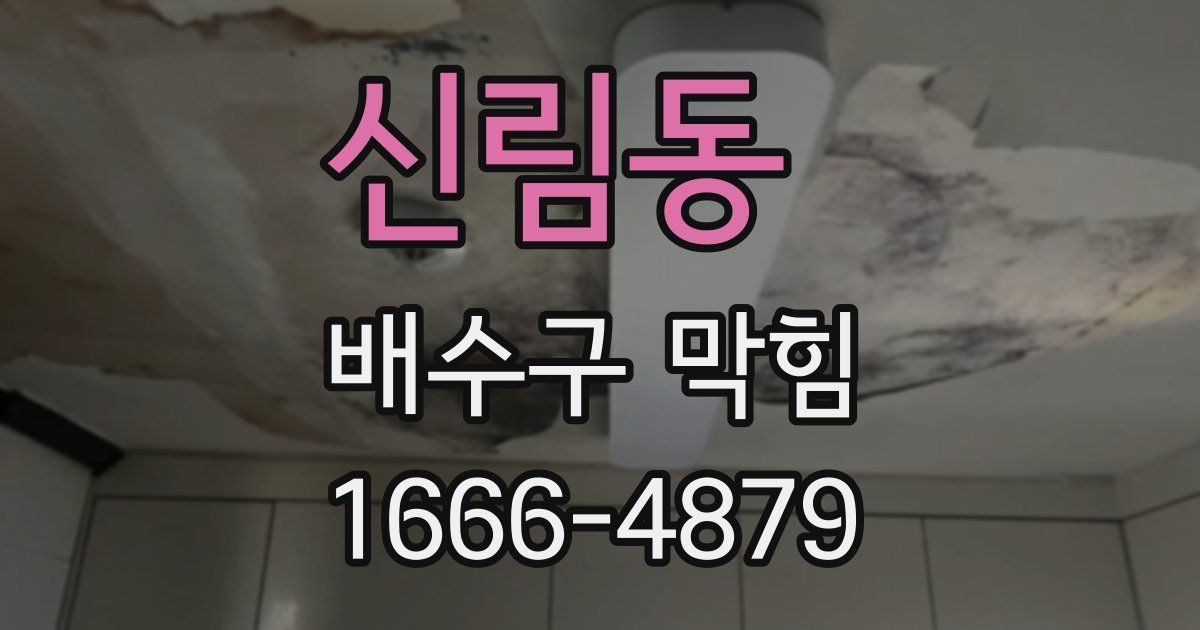 신림동 배수구 막힘