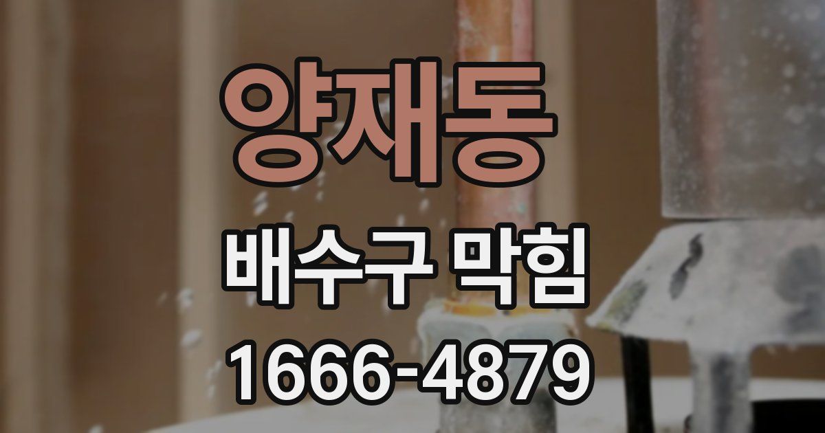 양재동 배수구 막힘