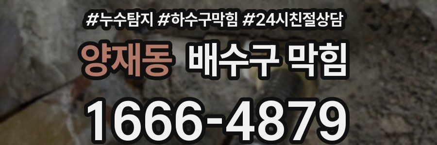 양재동 배수구 막힘