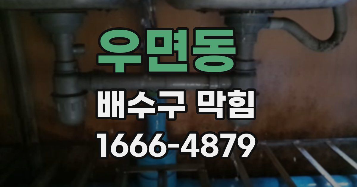 우면동 배수구 막힘