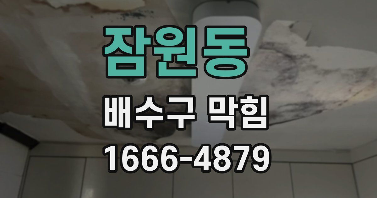 잠원동 배수구 막힘