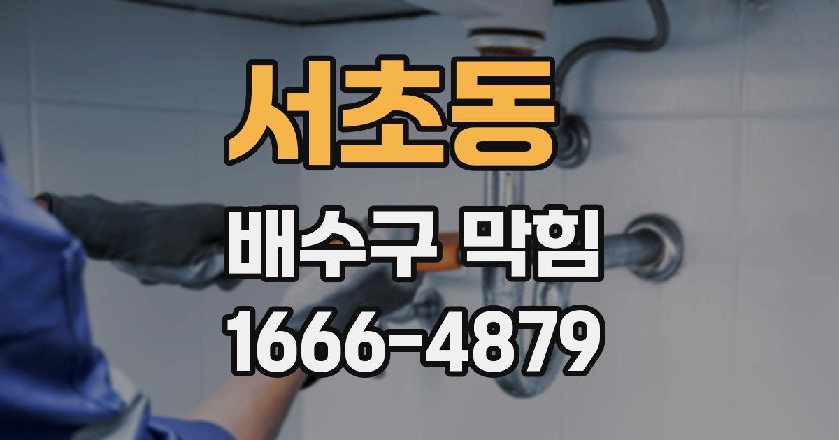 서초동 배수구 막힘