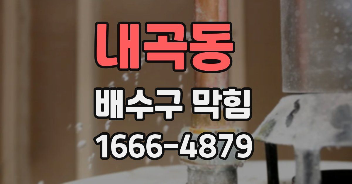 내곡동 배수구 막힘