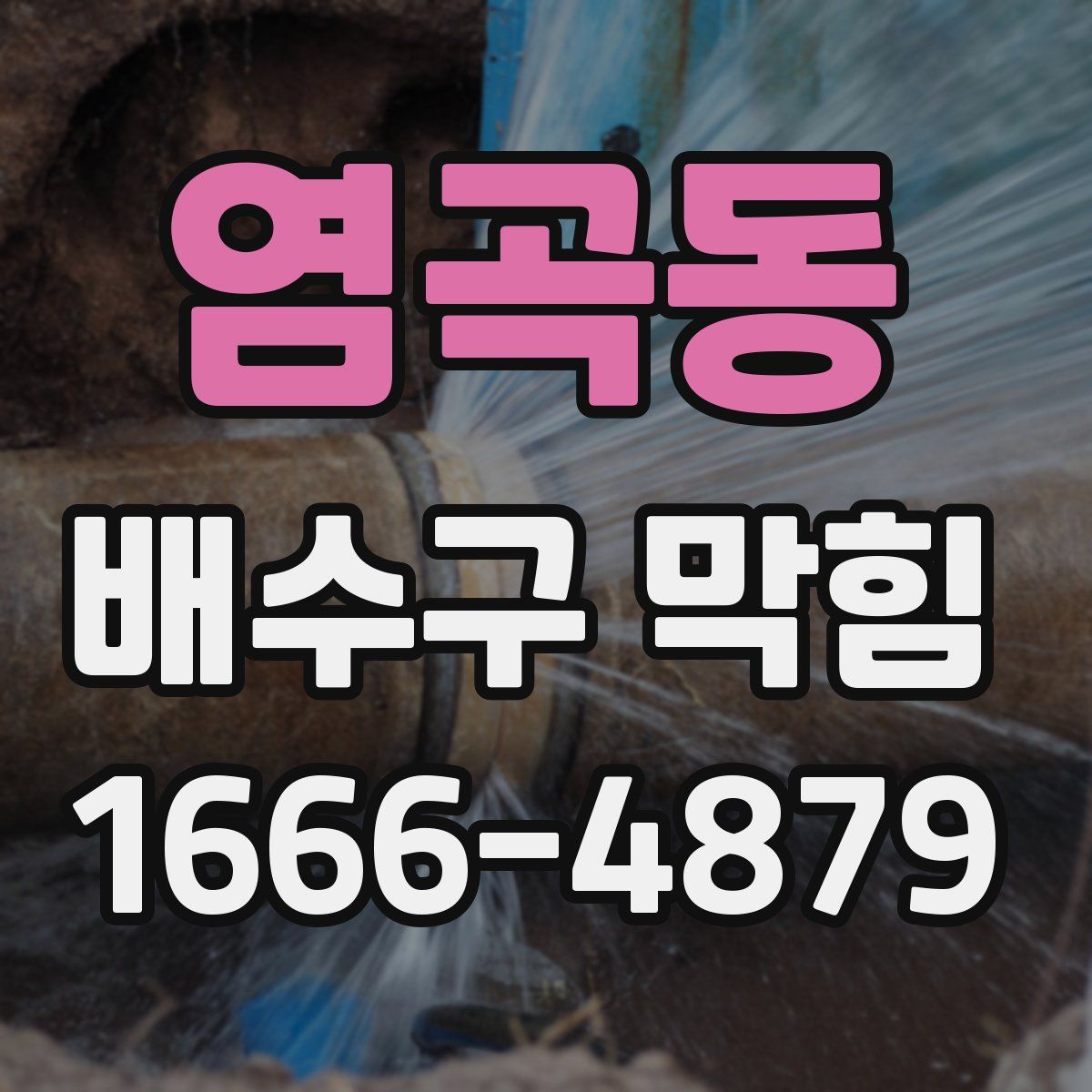 염곡동 배수구 막힘