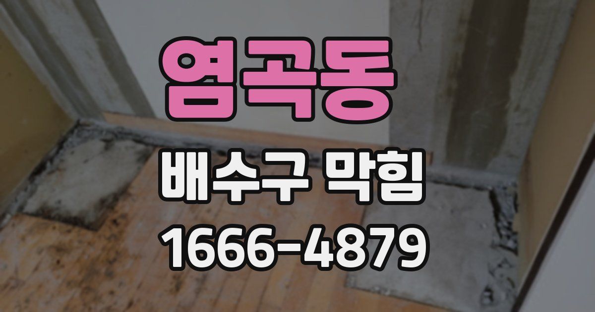 염곡동 배수구 막힘