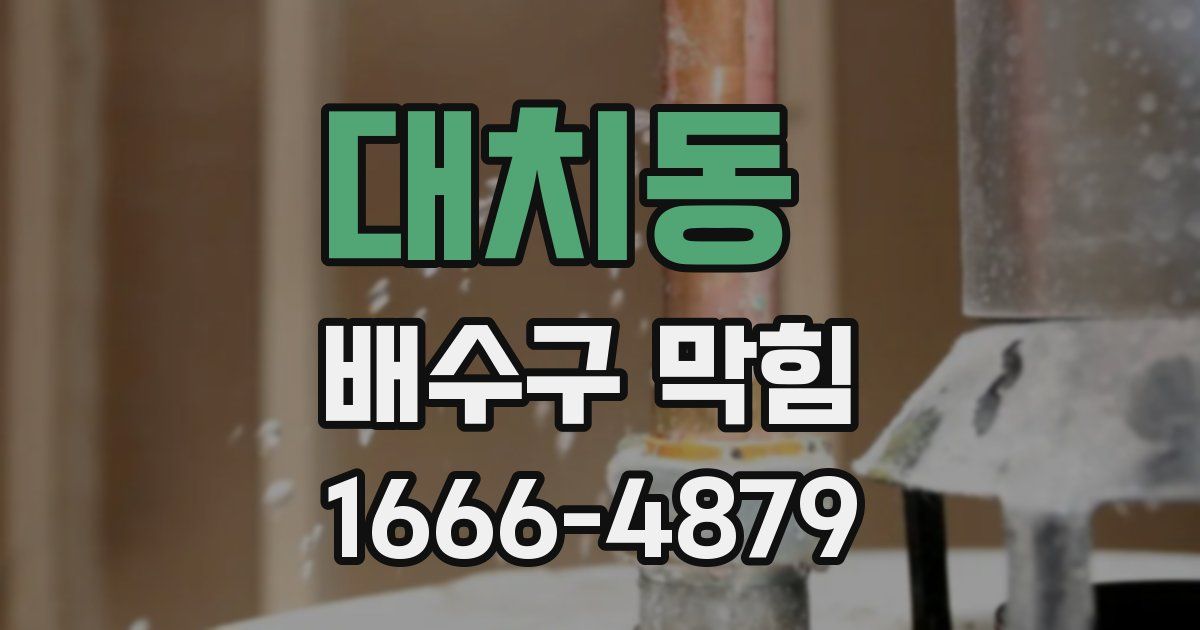 대치동 배수구 막힘