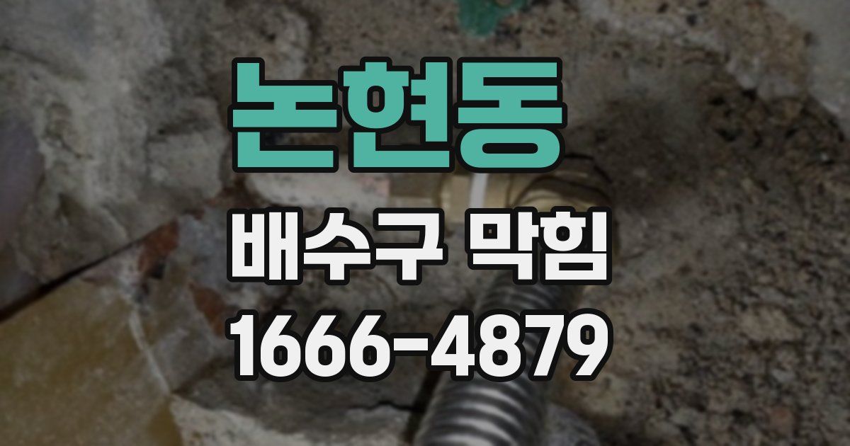 논현동 배수구 막힘