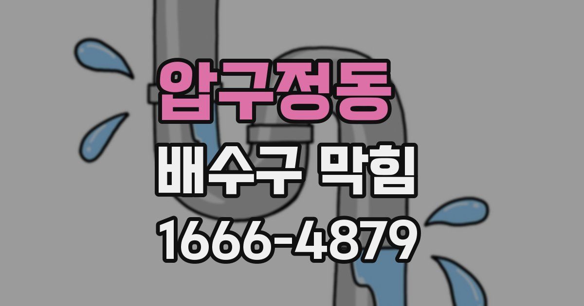 압구정동 배수구 막힘