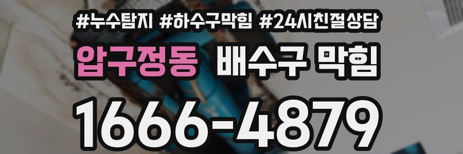 압구정동 배수구 막힘