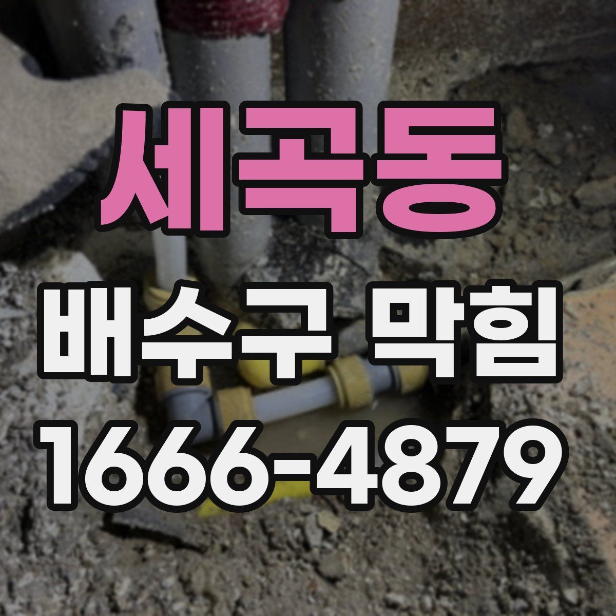 세곡동 배수구 막힘