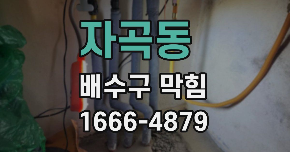 자곡동 배수구 막힘