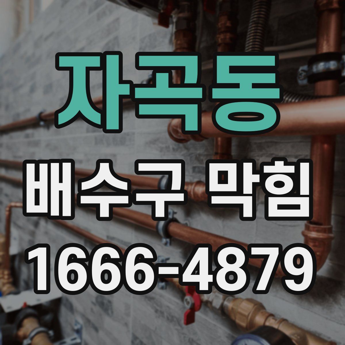 자곡동 배수구 막힘