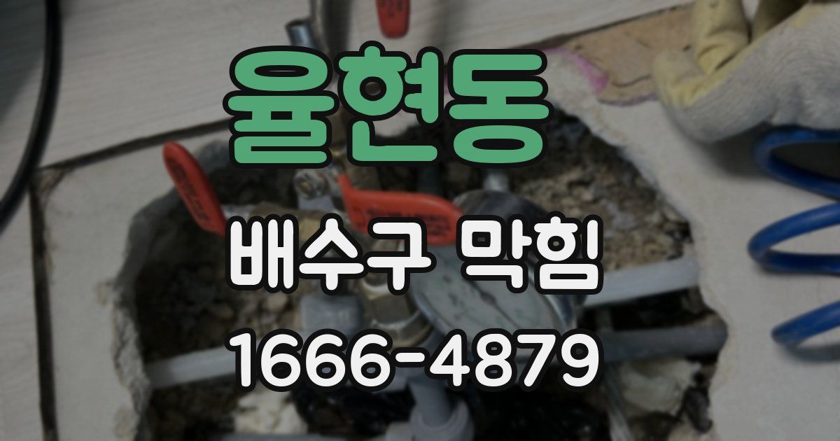 율현동 배수구 막힘