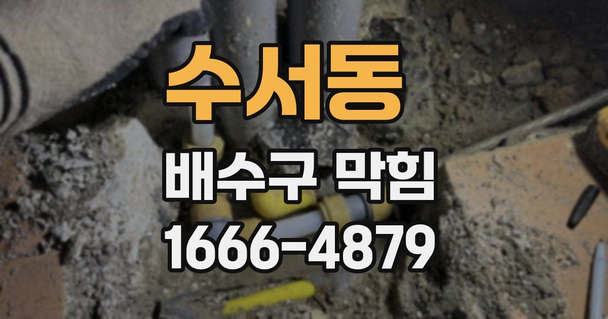 수서동 배수구 막힘