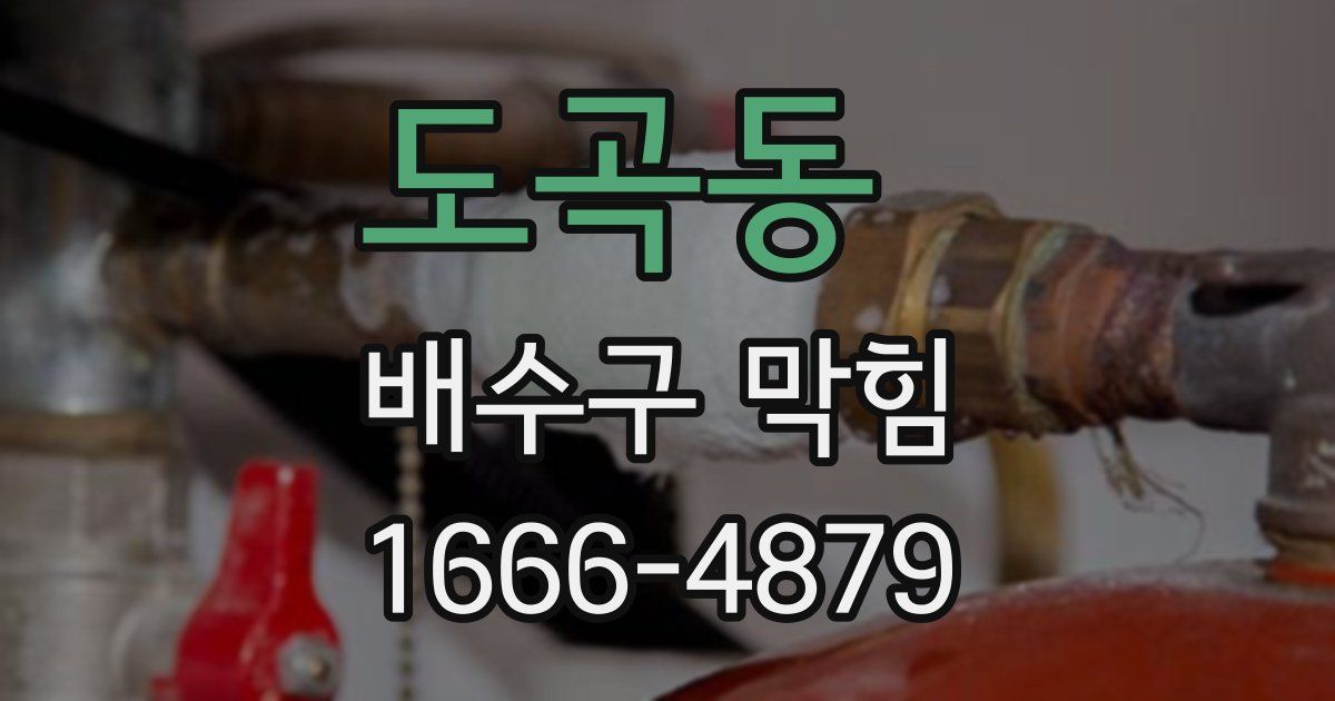 도곡동 배수구 막힘