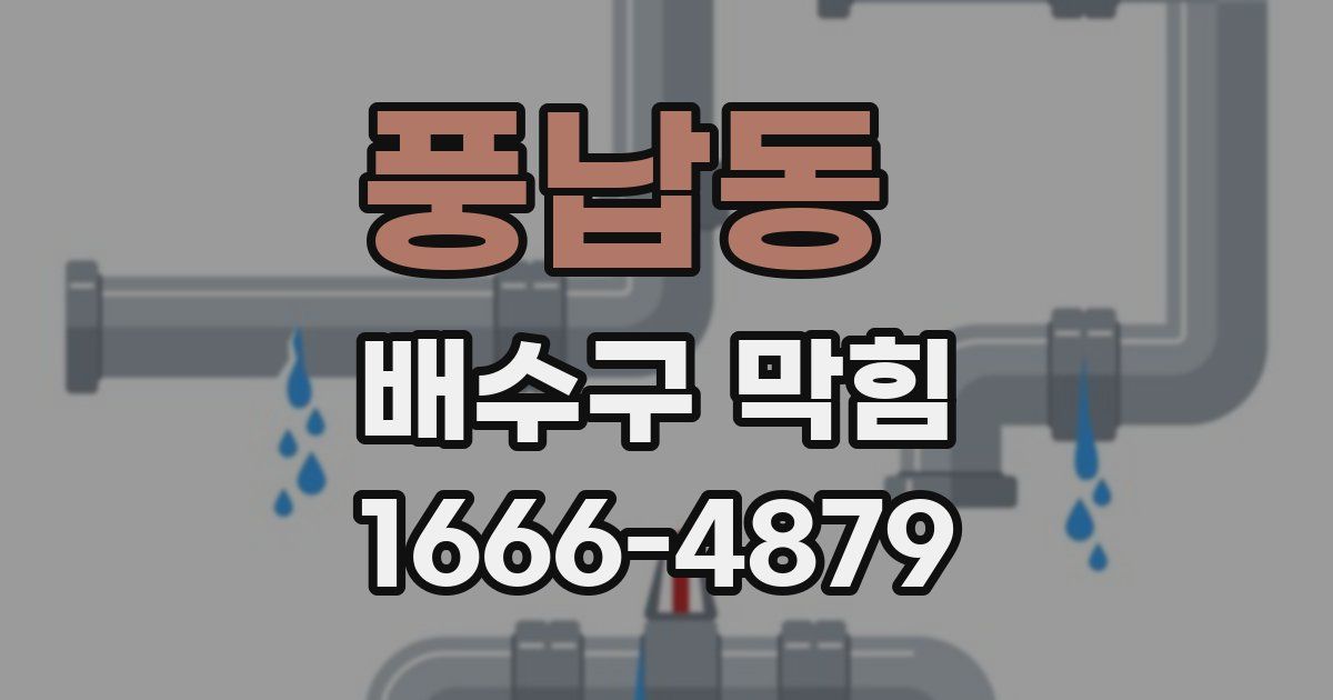 풍납동 배수구 막힘