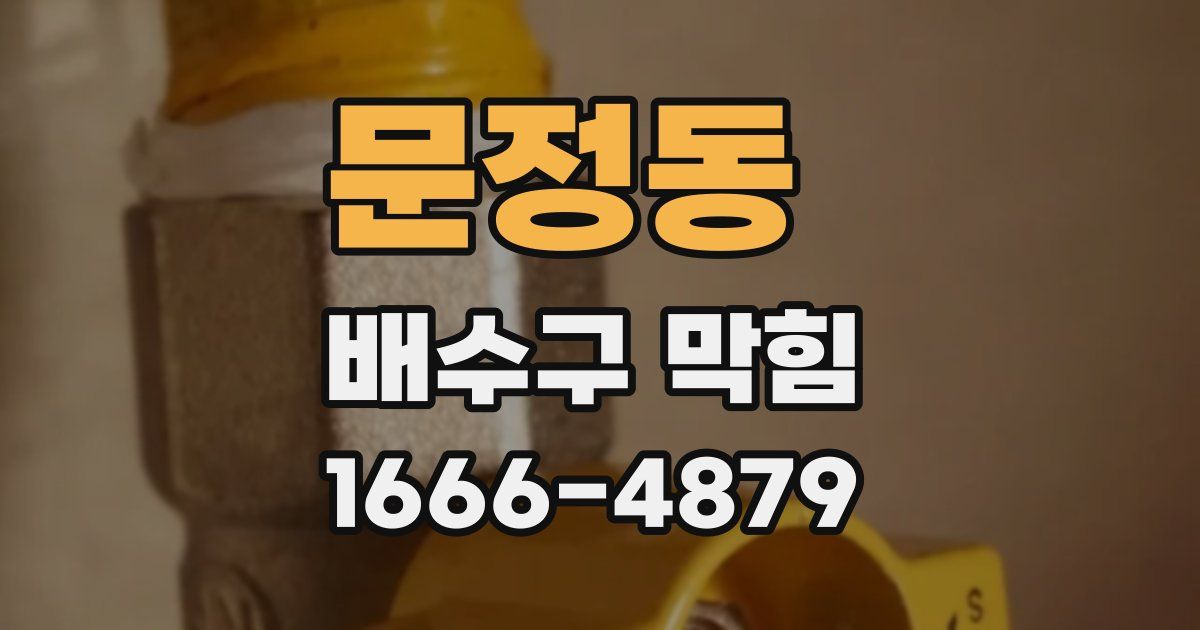 문정동 배수구 막힘