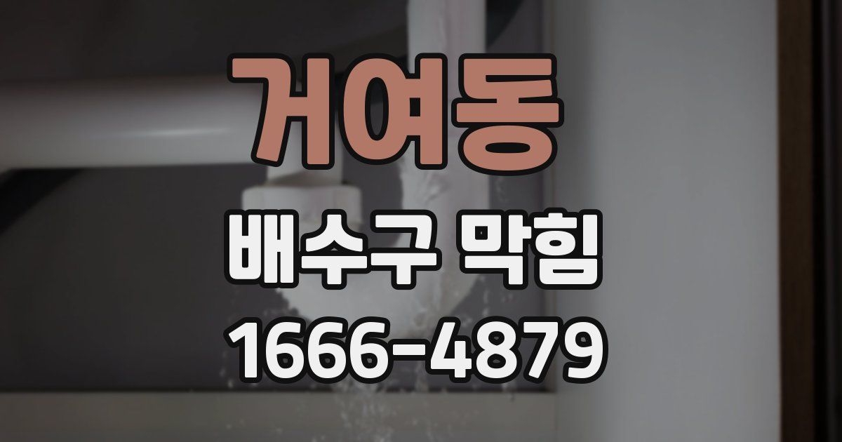 거여동 배수구 막힘