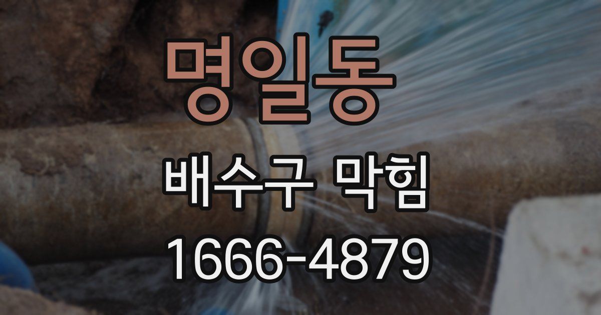 명일동 배수구 막힘