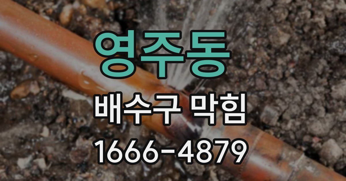영주동 배수구 막힘