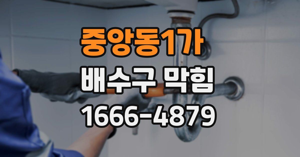중앙동1가 배수구 막힘