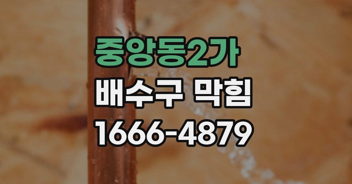 중앙동2가 배수구 막힘