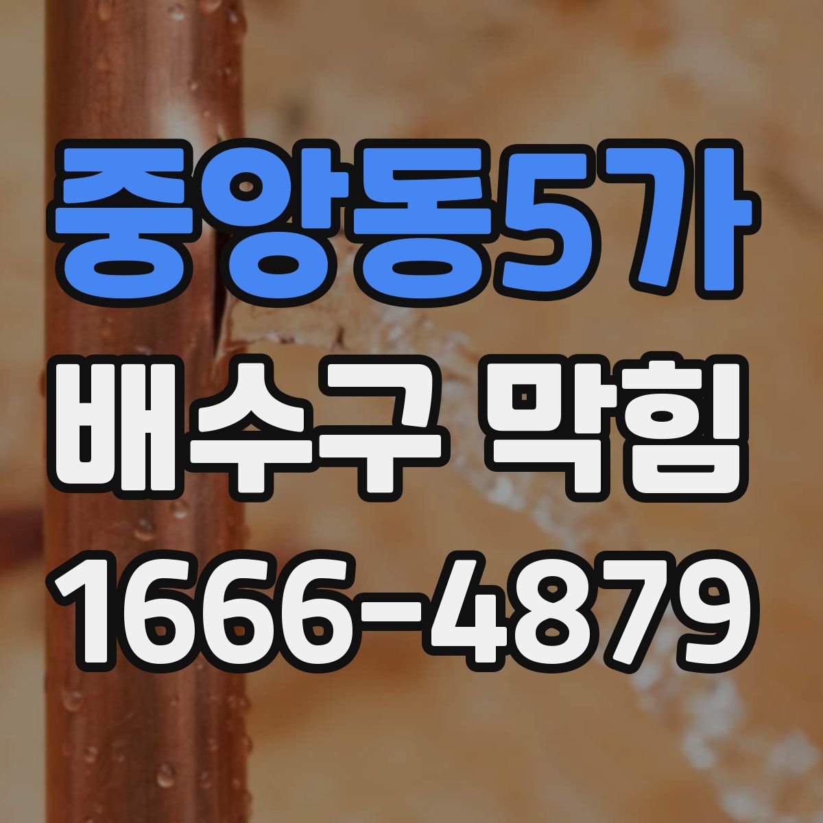 중앙동5가 배수구 막힘