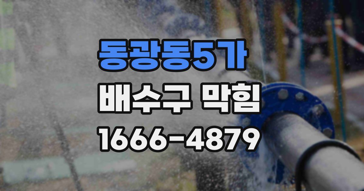 동광동5가 배수구 막힘