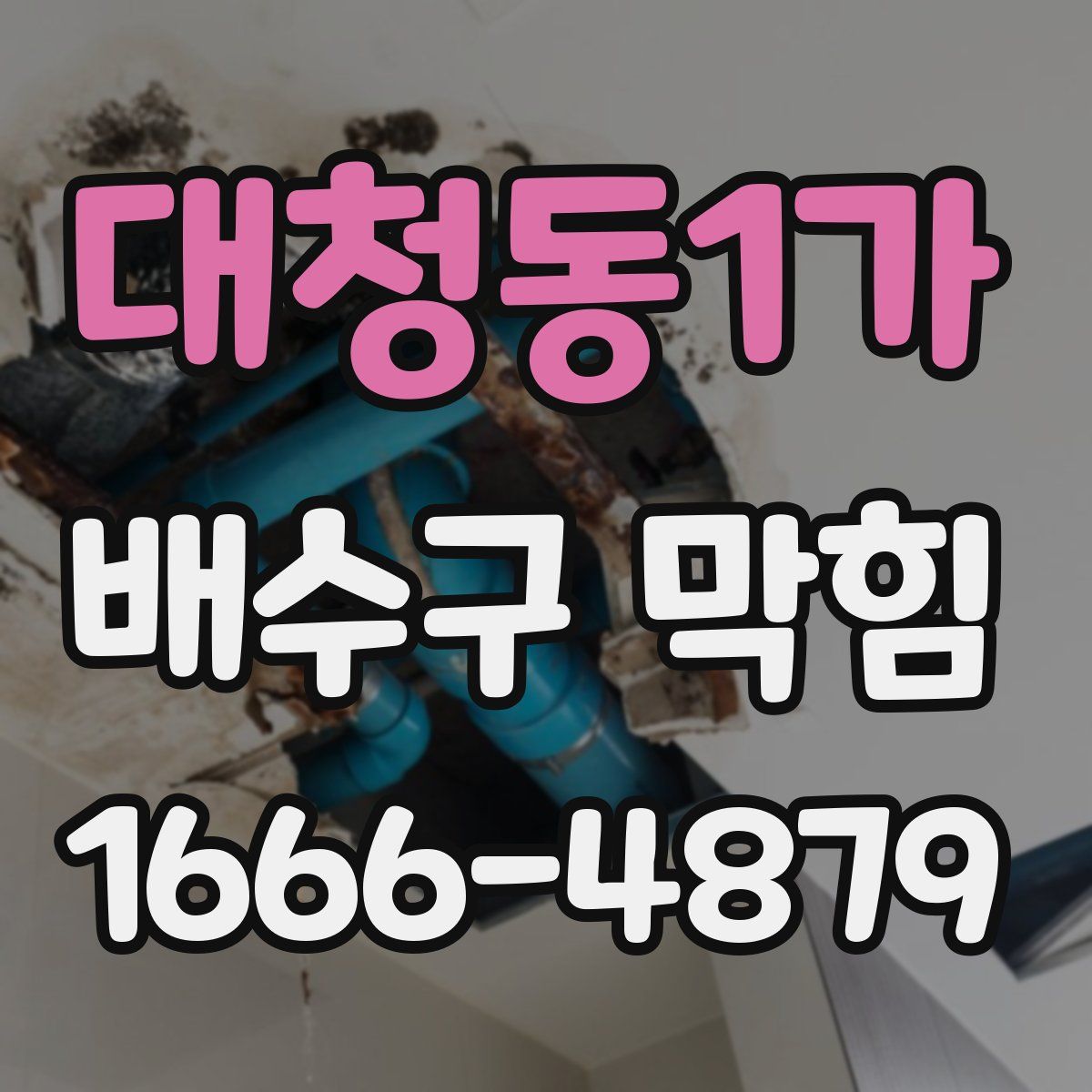 대청동1가 배수구 막힘