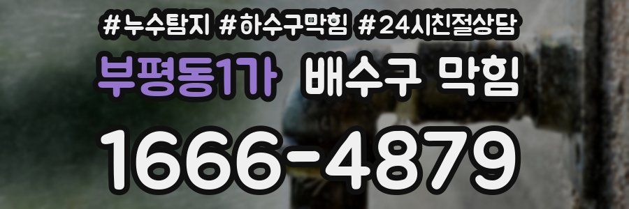 부평동1가 배수구 막힘