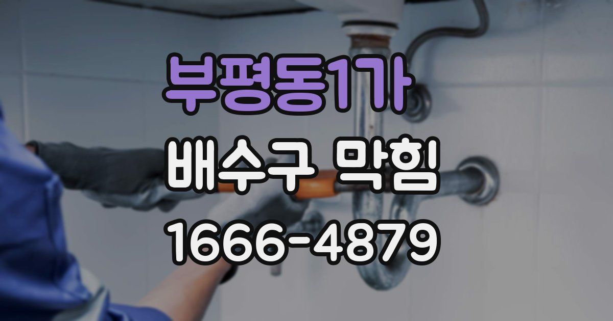부평동1가 배수구 막힘