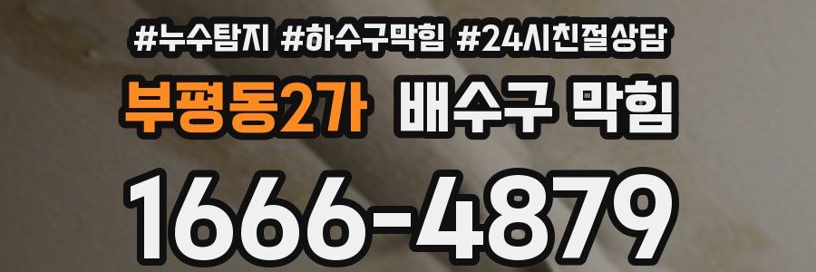 부평동2가 배수구 막힘