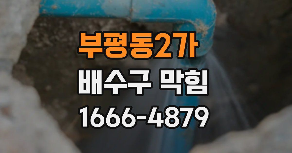 부평동2가 배수구 막힘