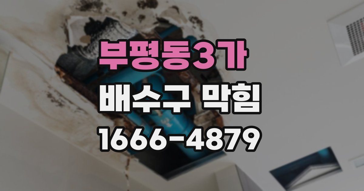 부평동3가 배수구 막힘