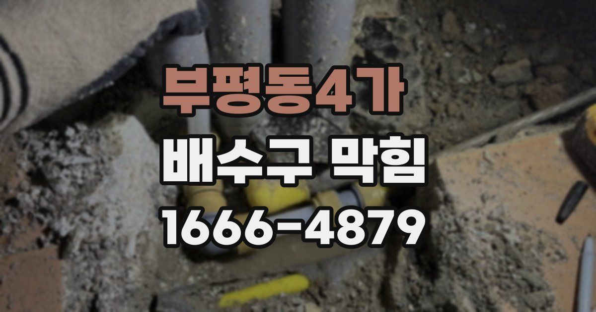 부평동4가 배수구 막힘